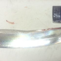 ワインドのちジギング