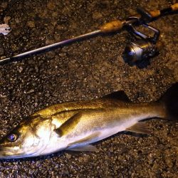 名古屋からの釣行です。