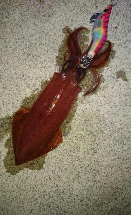 厳しいですね。