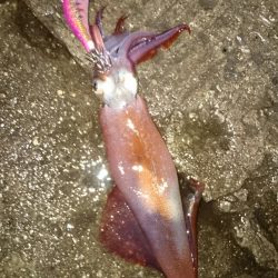 なが〜い沈黙。