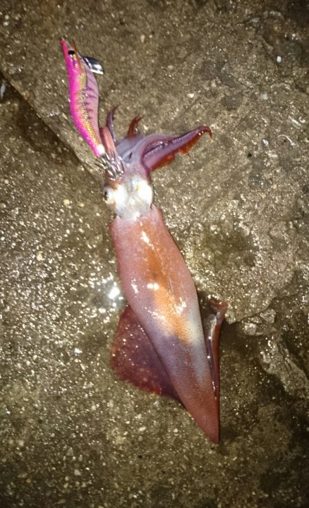 なが〜い沈黙。