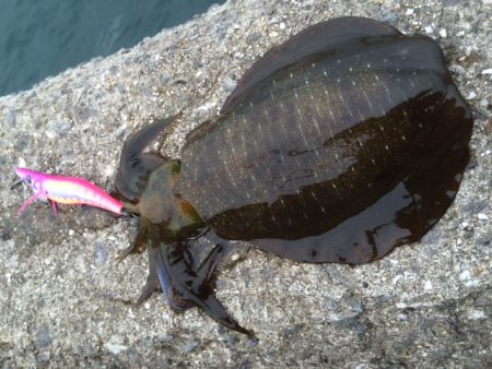 渋かった～(^-^;