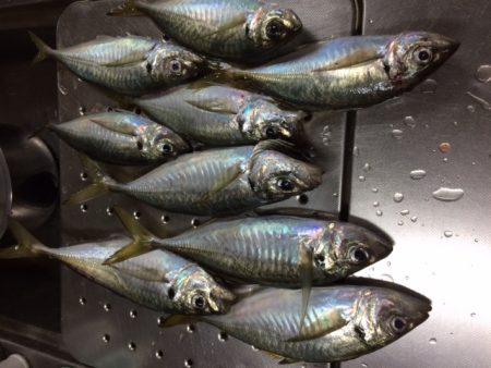 グッドサイズアジ