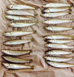 先週に引き続きキスをゲット