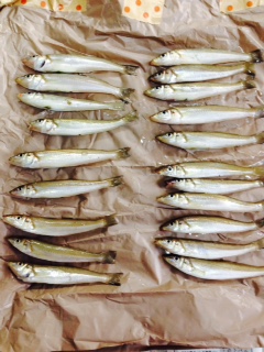 先週に引き続きキスをゲット