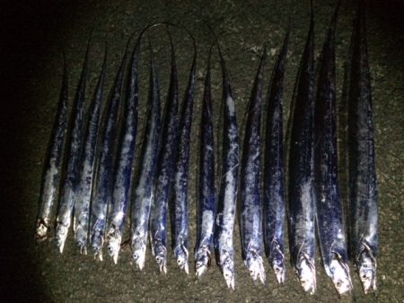 タチウオプチ爆