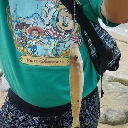 キスの天婦羅が食べたい！！