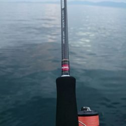 夕まず目狙いでエギング