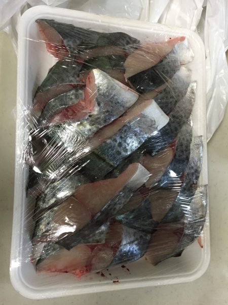 やったぁ～♪初サワラGET！！