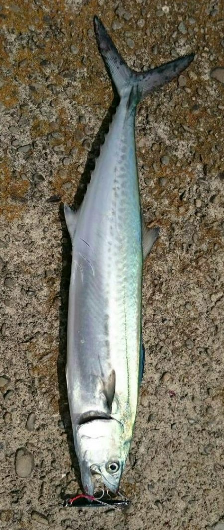 シルバーウィークを満喫