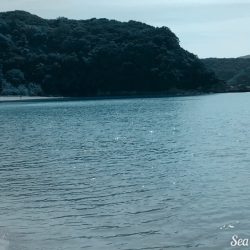 カンパリ？カンパチ釣ったぞぉ～♪