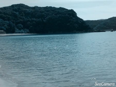 カンパリ？カンパチ釣ったぞぉ～♪