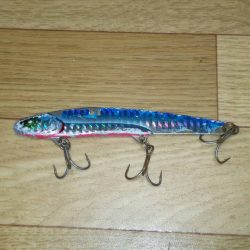 ツバス33㎝GET！！