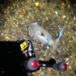 大潮前の　サイズアップ狙い！！