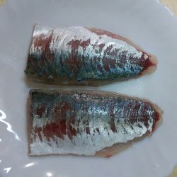 ジギングサビキでデカアジ