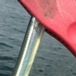 ファミリーフィッシングを満喫！！