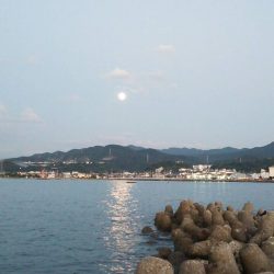 何とか新子一杯(^o^;)