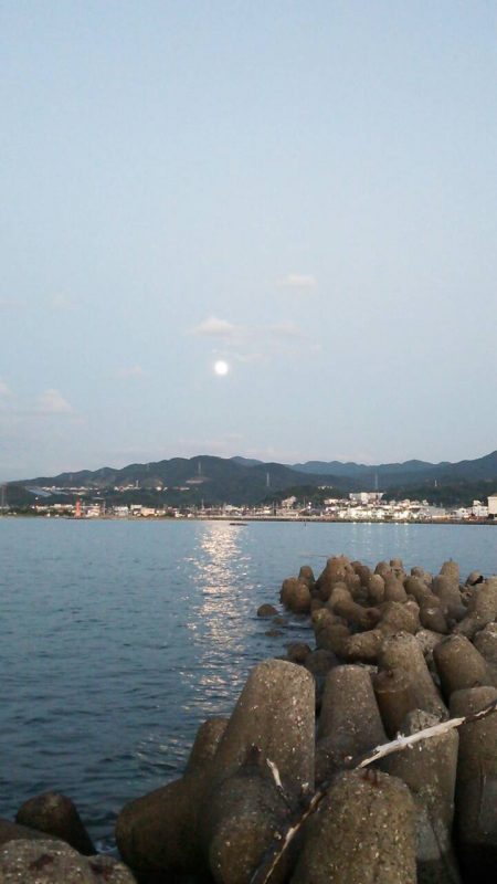 何とか新子一杯(^o^;)