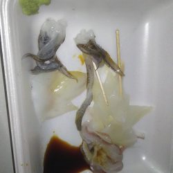 今日もいつもの場所で(･∀･)