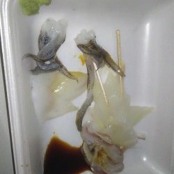 今日もいつもの場所で(･∀･)