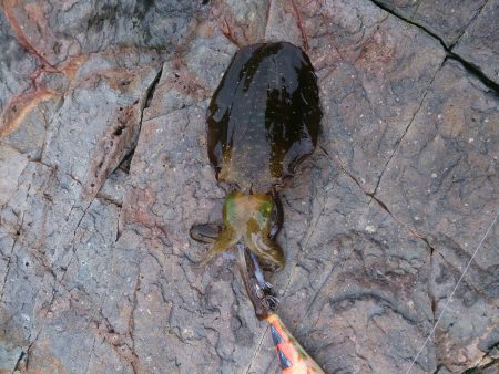 伊根内ランガン