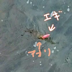 快晴だが、風と波があり少々荒れ気味