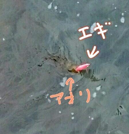 快晴だが、風と波があり少々荒れ気味