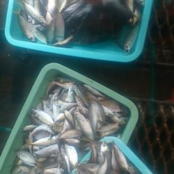 雨にも負けず！