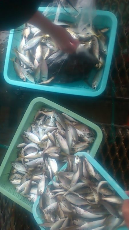 雨にも負けず！