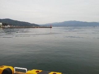 宮津カマスあがってます！