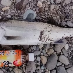 また行ってきました！