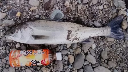 また行ってきました！