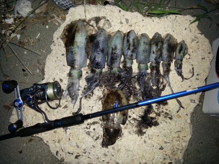 週末激戦エギング