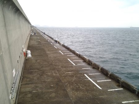 雨ニモマケズ、久々青物