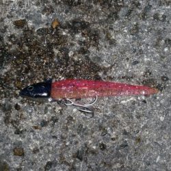 今年初タッチーー