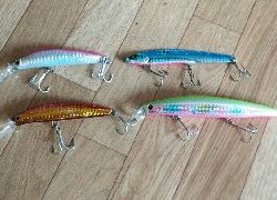 ☆サゴシ祭りでした☆