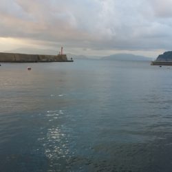 やっとの、天気回復を期待したが・・・。　サイズが☓