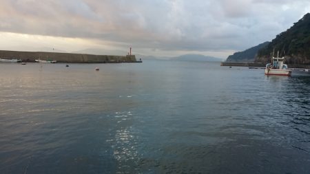 やっとの、天気回復を期待したが・・・。　サイズが☓