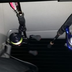 雨模様の調査・・・・。