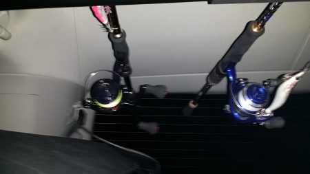 雨模様の調査・・・・。