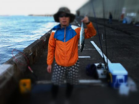 サワラの呪い！？