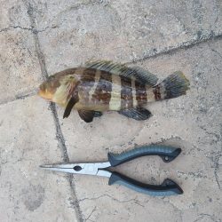 爆風の中・・・