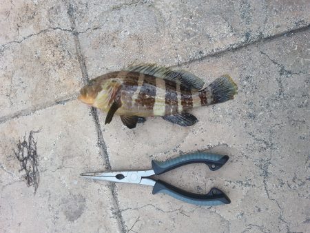 爆風の中・・・