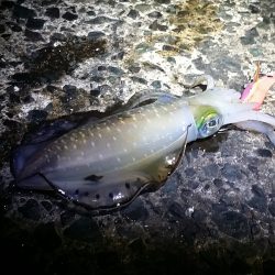 ほんとに秋なのか？！　でもやめられない！！