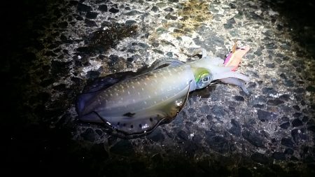 ほんとに秋なのか？！　でもやめられない！！