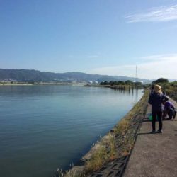 紀ノ川せせらぎ公園　ハゼ爆釣