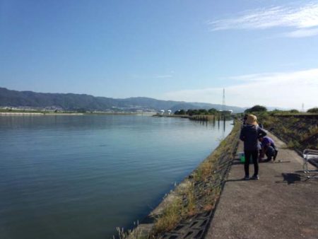 紀ノ川せせらぎ公園　ハゼ爆釣