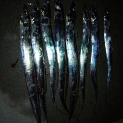 はじめての場所でアタリぱっなし!