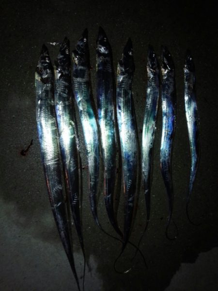 はじめての場所でアタリぱっなし!