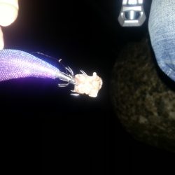 秋アオリ２回目!!!